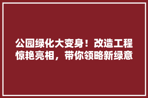 公园绿化大变身！改造工程惊艳亮相，带你领略新绿意