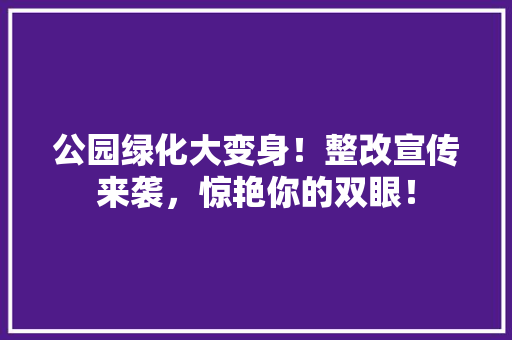 公园绿化大变身！整改宣传来袭，惊艳你的双眼！