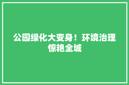 公园绿化大变身！环境治理惊艳全城