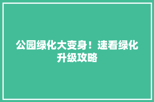 公园绿化大变身！速看绿化升级攻略