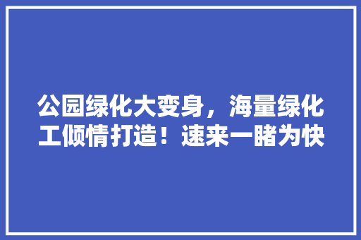 公园绿化大变身，海量绿化工倾情打造！速来一睹为快！