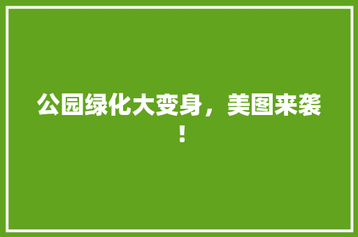 公园绿化大变身，美图来袭！
