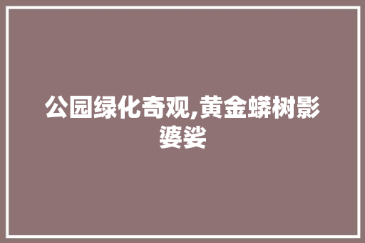 公园绿化奇观,黄金蟒树影婆娑