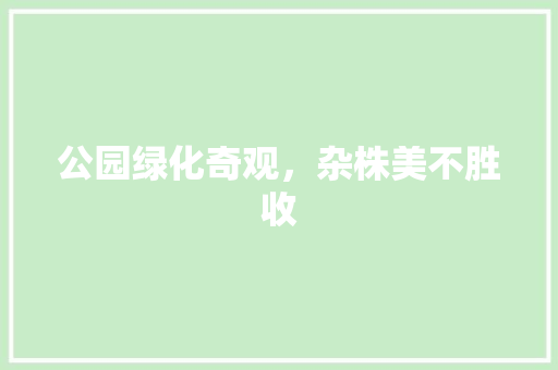 公园绿化奇观，杂株美不胜收