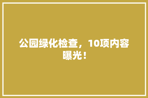 公园绿化检查，10项内容曝光！