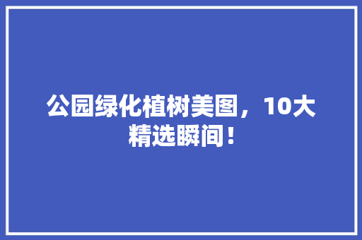 公园绿化植树美图，10大精选瞬间！