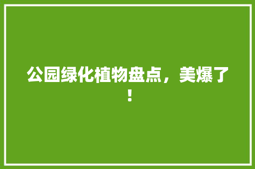 公园绿化植物盘点，美爆了！