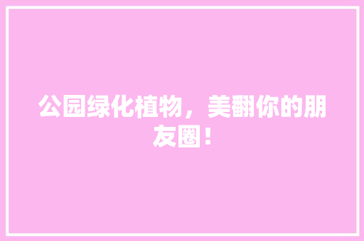 公园绿化植物，美翻你的朋友圈！