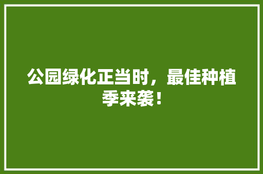 公园绿化正当时，最佳种植季来袭！
