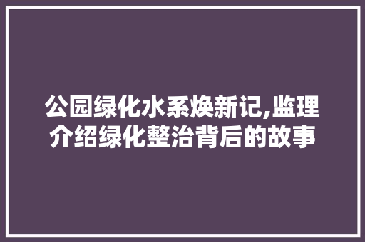 公园绿化水系焕新记,监理介绍绿化整治背后的故事