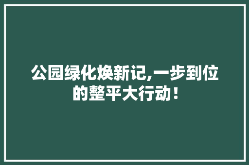 公园绿化焕新记,一步到位的整平大行动！