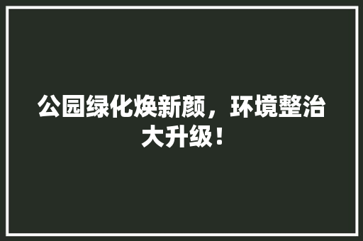公园绿化焕新颜，环境整治大升级！