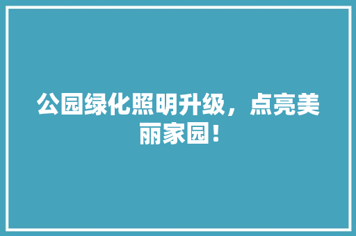 公园绿化照明升级，点亮美丽家园！