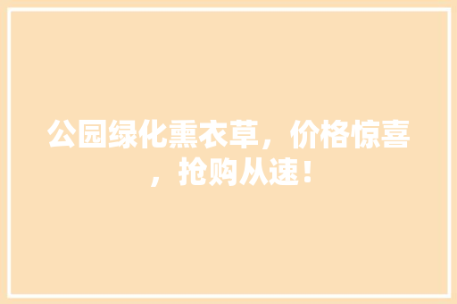 公园绿化熏衣草，价格惊喜，抢购从速！