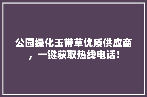 公园绿化玉带草优质供应商，一键获取热线电话！