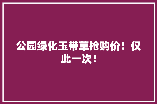 公园绿化玉带草抢购价！仅此一次！