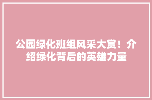公园绿化班组风采大赏！介绍绿化背后的英雄力量