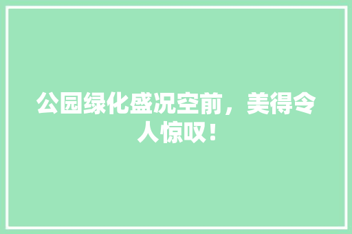 公园绿化盛况空前，美得令人惊叹！