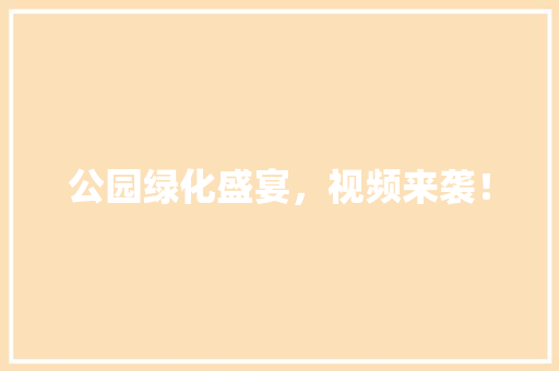 公园绿化盛宴，视频来袭！