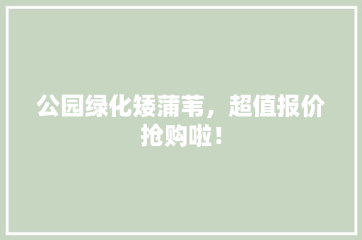 公园绿化矮蒲苇，超值报价抢购啦！