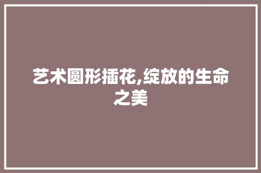 艺术圆形插花,绽放的生命之美