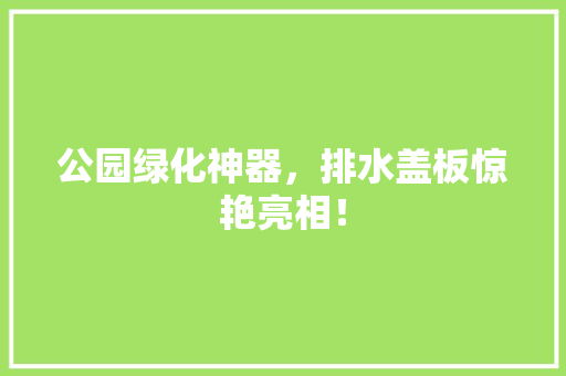公园绿化神器，排水盖板惊艳亮相！