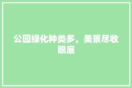 公园绿化种类多，美景尽收眼底