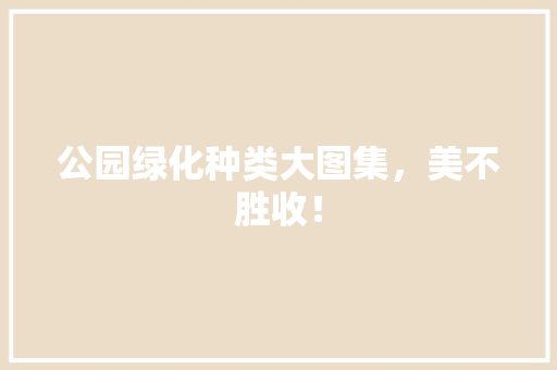 公园绿化种类大图集，美不胜收！