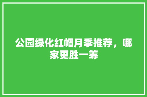 公园绿化红帽月季推荐，哪家更胜一筹