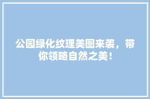 公园绿化纹理美图来袭，带你领略自然之美！