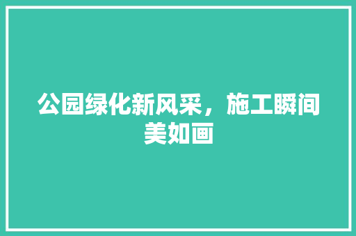 公园绿化新风采，施工瞬间美如画