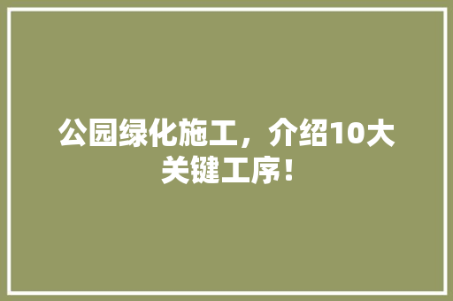 公园绿化施工，介绍10大关键工序！