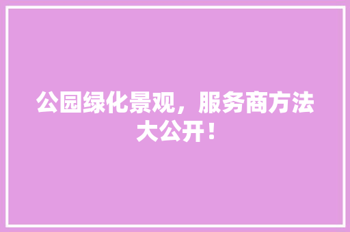 公园绿化景观，服务商方法大公开！