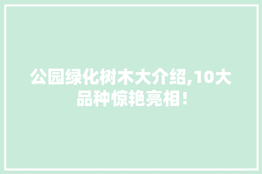 公园绿化树木大介绍,10大品种惊艳亮相！