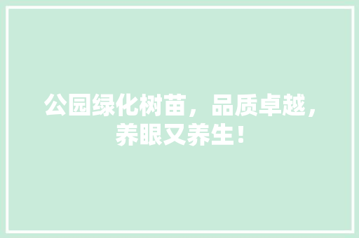 公园绿化树苗，品质卓越，养眼又养生！