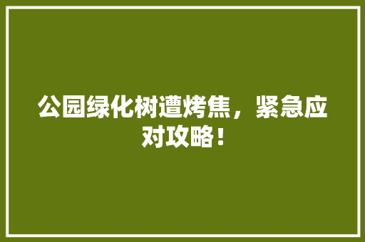 公园绿化树遭烤焦，紧急应对攻略！