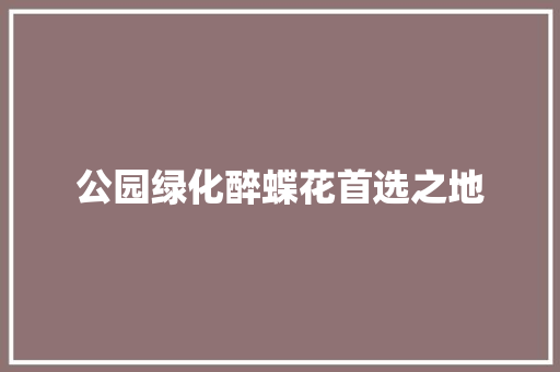 公园绿化醉蝶花首选之地