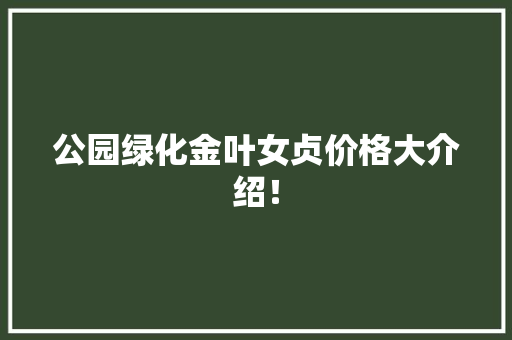 公园绿化金叶女贞价格大介绍！