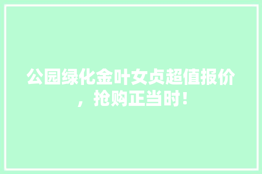 公园绿化金叶女贞超值报价，抢购正当时！