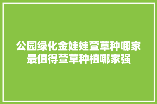 公园绿化金娃娃萱草种哪家最值得萱草种植哪家强