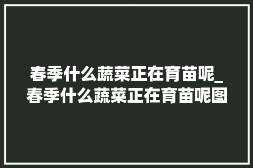 春季什么蔬菜正在育苗呢_春季什么蔬菜正在育苗呢图片