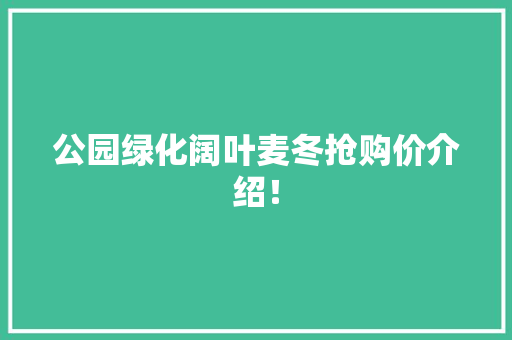 公园绿化阔叶麦冬抢购价介绍！