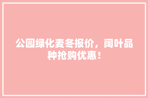 公园绿化麦冬报价，阔叶品种抢购优惠！