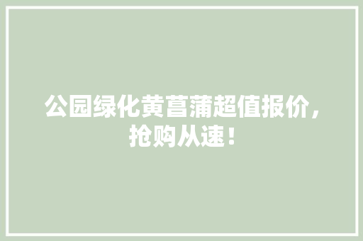 公园绿化黄菖蒲超值报价，抢购从速！