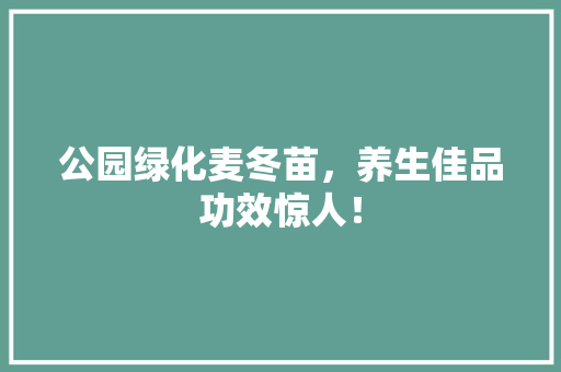 公园绿化麦冬苗，养生佳品功效惊人！
