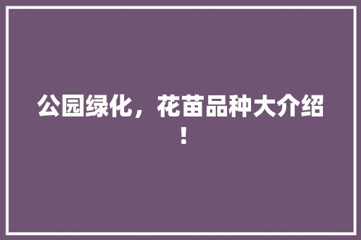 公园绿化，花苗品种大介绍！