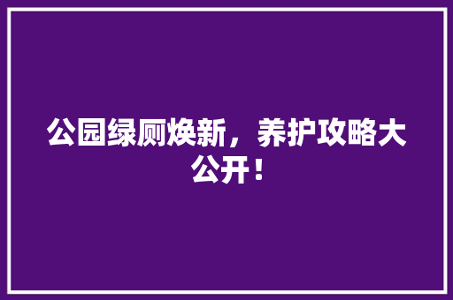 公园绿厕焕新，养护攻略大公开！