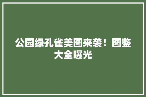 公园绿孔雀美图来袭！图鉴大全曝光