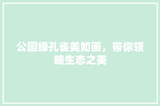 公园绿孔雀美如画，带你领略生态之美