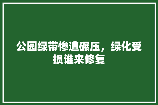 公园绿带惨遭碾压，绿化受损谁来修复